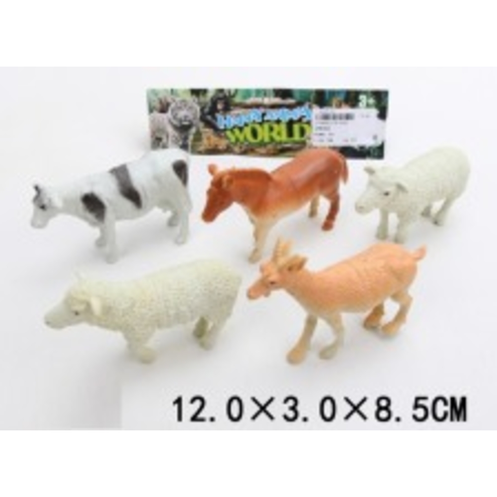 Фото, Видеообзоры 