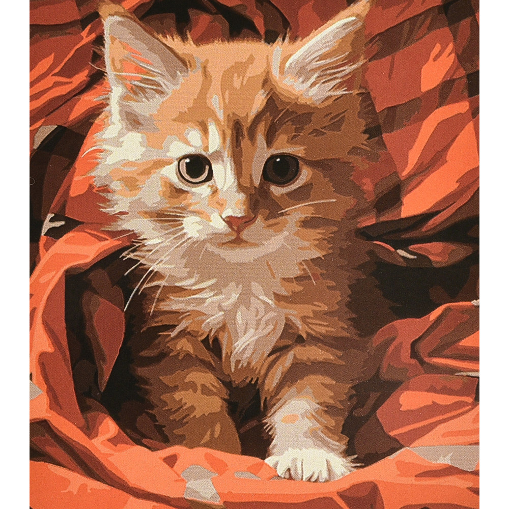 Фото, Відеоогляди картина за номерами strateg преміум сонячний малюк з лаком та рівнем розміром 40х50 см (va-4667)