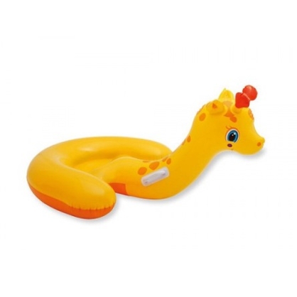 Фото, Видеообзоры 