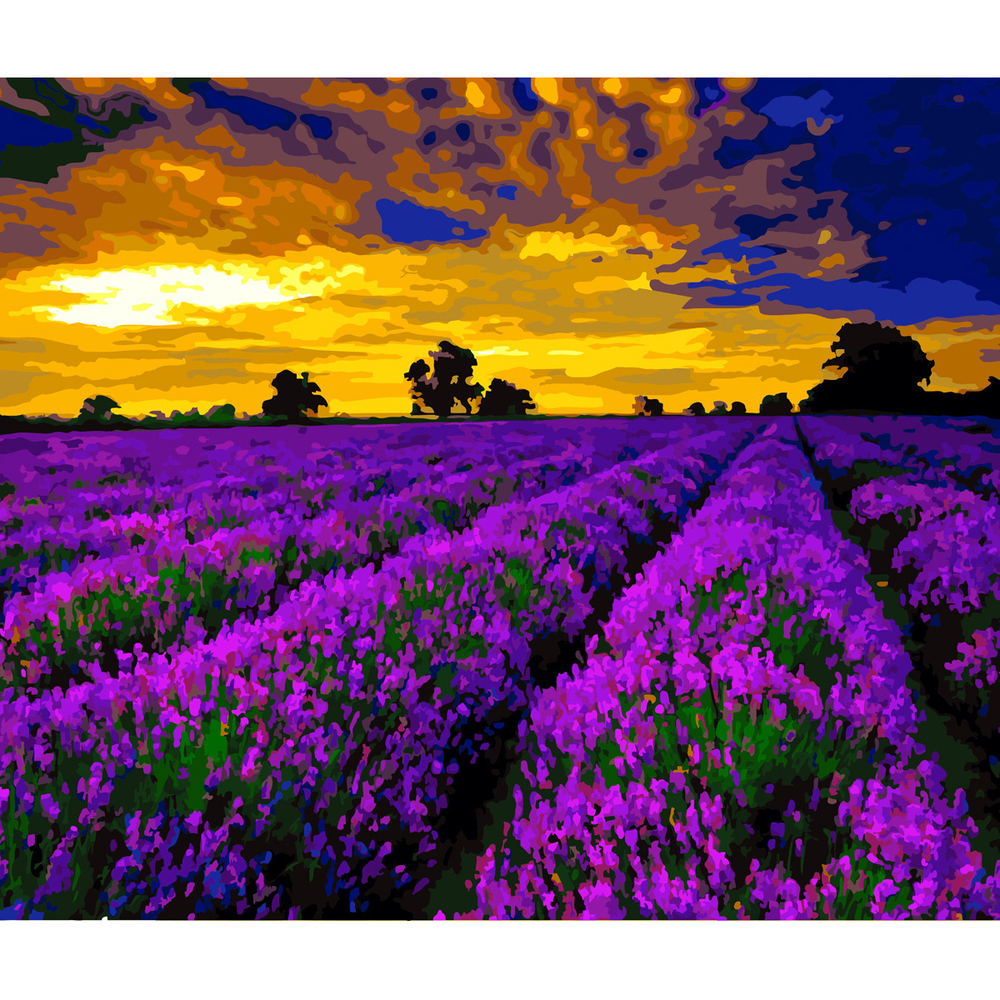 Фото, Відеоогляди картина за номерами strateg преміум лавандові поля з лаком розміром 40х50 см (sy6619)