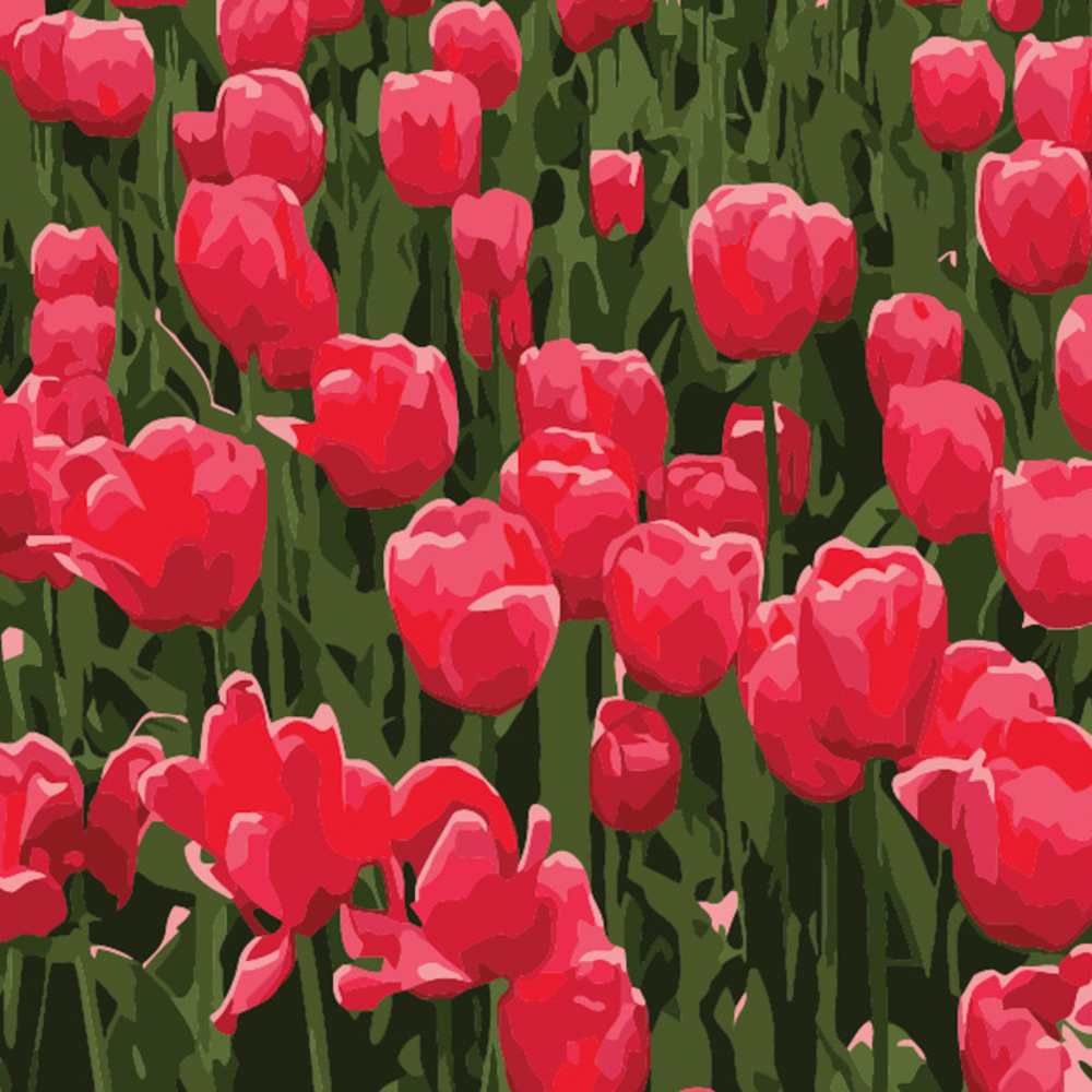 Фото, Видеообзоры картина за номерами strateg тюльпани розміром 20х20 см (hh5367)