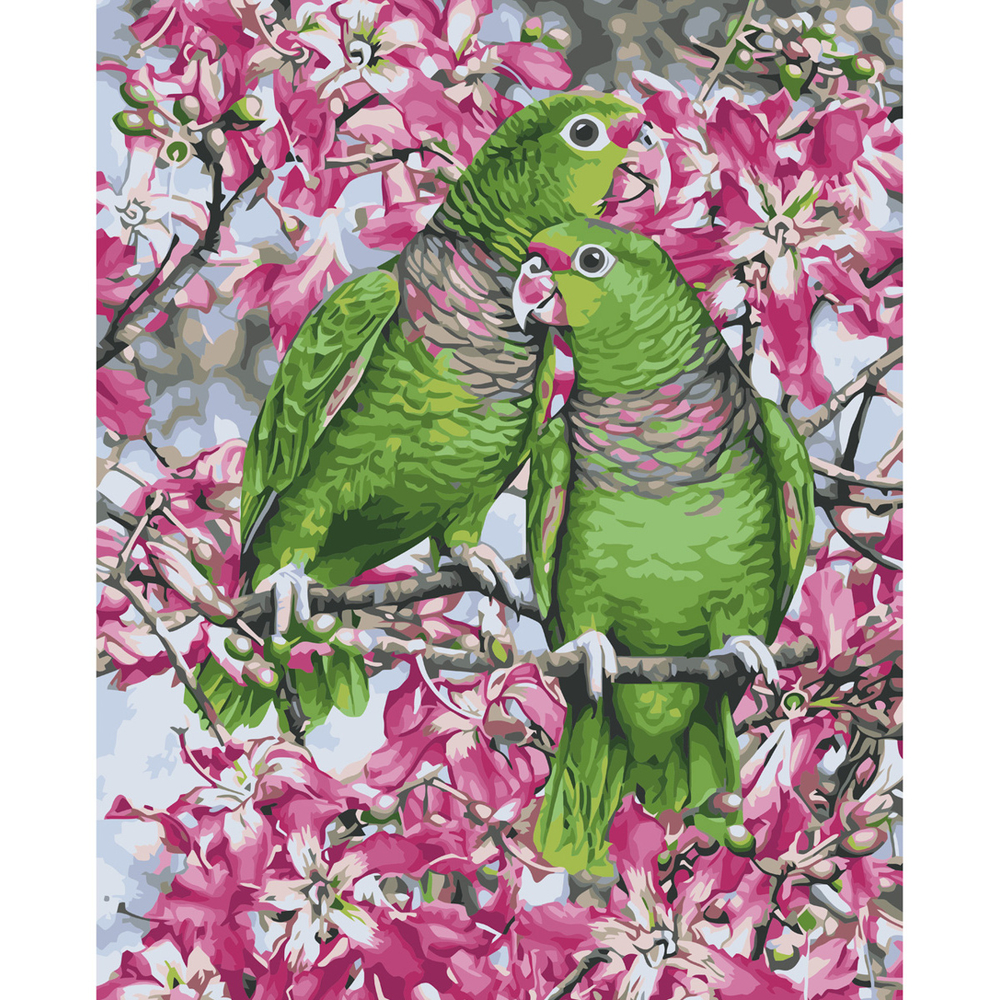 Фото, Видеообзоры картина за номерами strateg преміум зелені папуги з лаком розміром 40х50 см va-3665