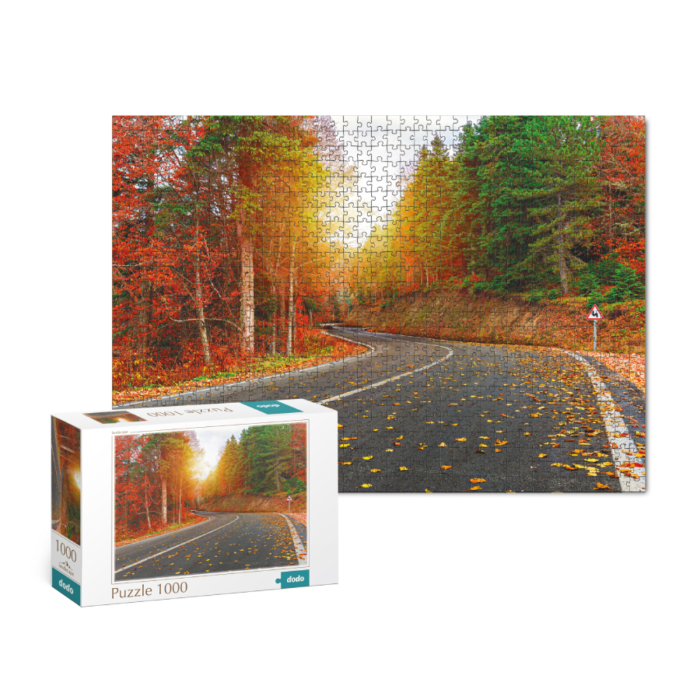 Фото, Відеоогляди пазл dodo осінній ліс туреччина