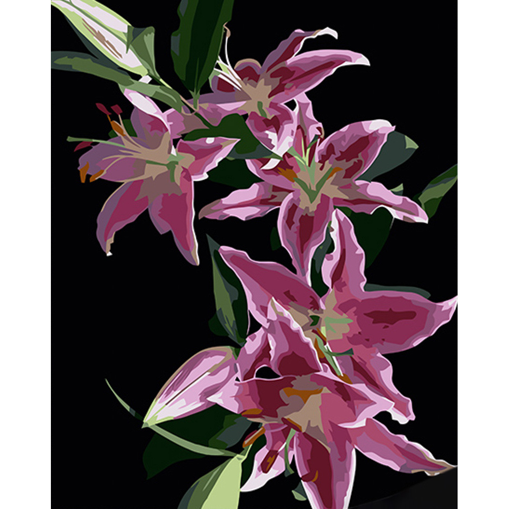 Фото, Видеообзоры картина за номерами strateg преміум квітучі лілії на чорному фоні розміром 40х50 см (ah1030)