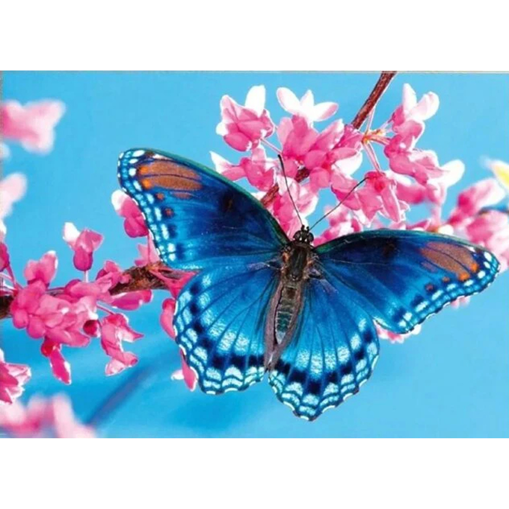 Фото, Відеоогляди алмазна мозаїка strateg преміум крилатий гість розміром 30х40 см (heg87075)