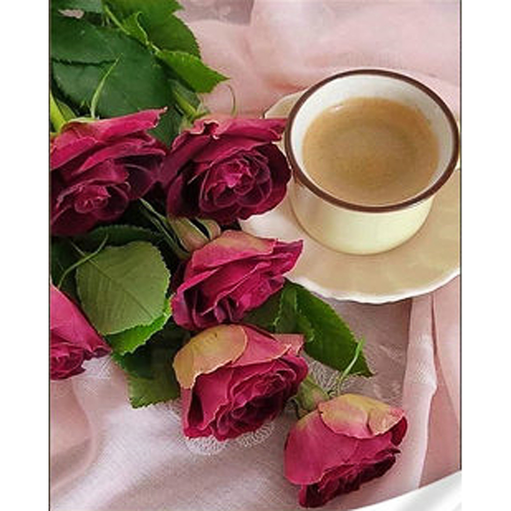 Фото, Видеообзоры алмазна мозаїка strateg преміум ніжний добрий ранок розміром 30х40 см (heg86887)