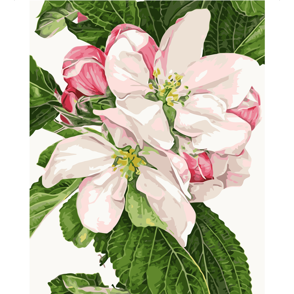 Фото, Видеообзоры картина за номерами strateg преміум цвіт яблуні з лаком розміром 40х50 см va-0819