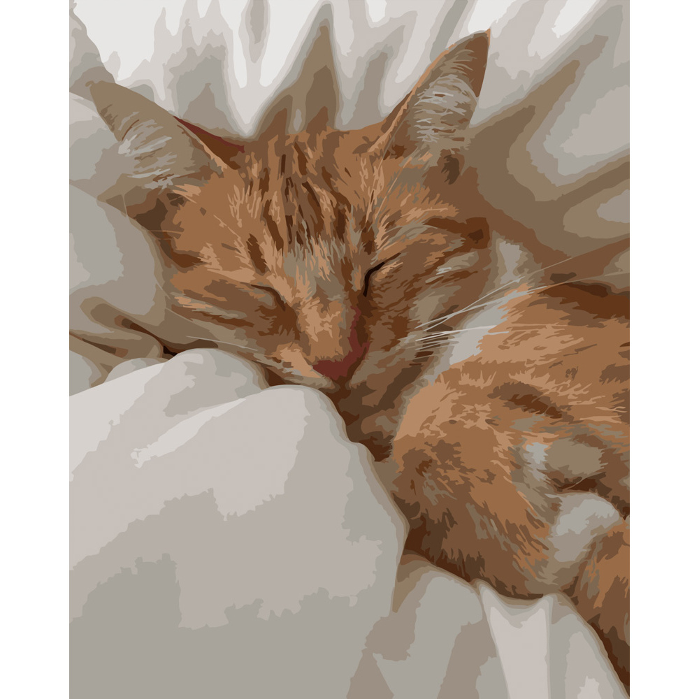 Фото, Видеообзоры картина за номерами strateg преміум солодкий сон розміром 40х50 см (dy179)