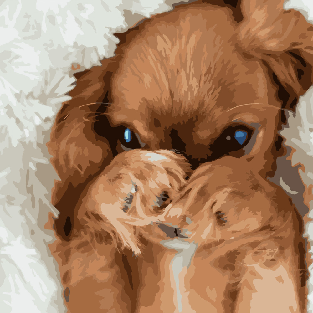 Фото, Відеоогляди картина за номерами strateg преміум скромний песик розміром 40х40 см (sk049)