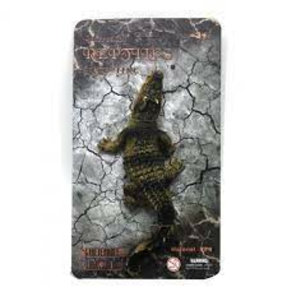 Фото, Видеообзоры 