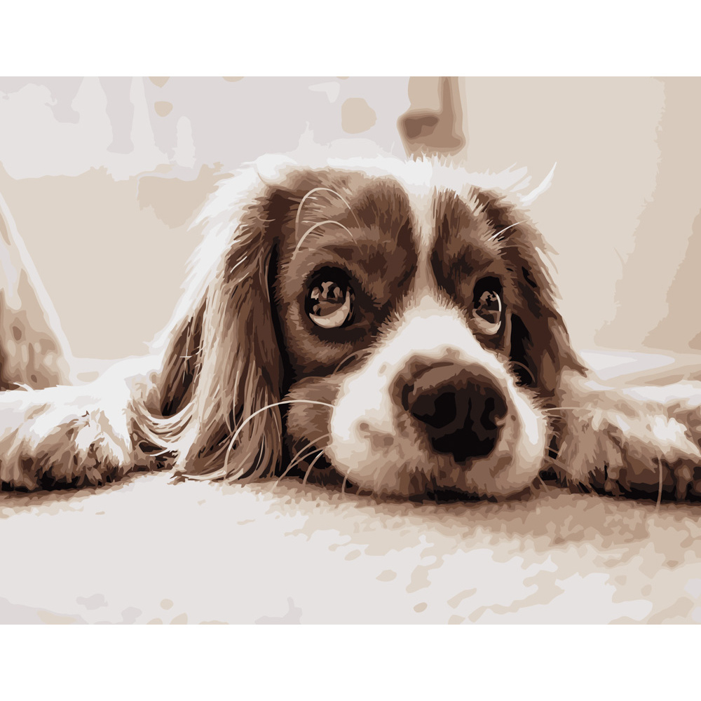 Фото, Відеоогляди картина за номерами strateg преміум мрійливий спаніель розміром 40х50 см (dy086)