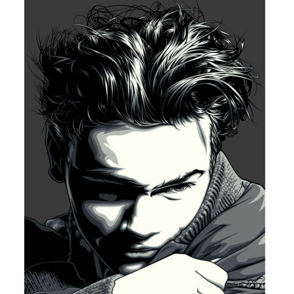 Фото, Видеообзоры картина за номерами strateg преміум river phoenix розміром 40х50 см (dy292)