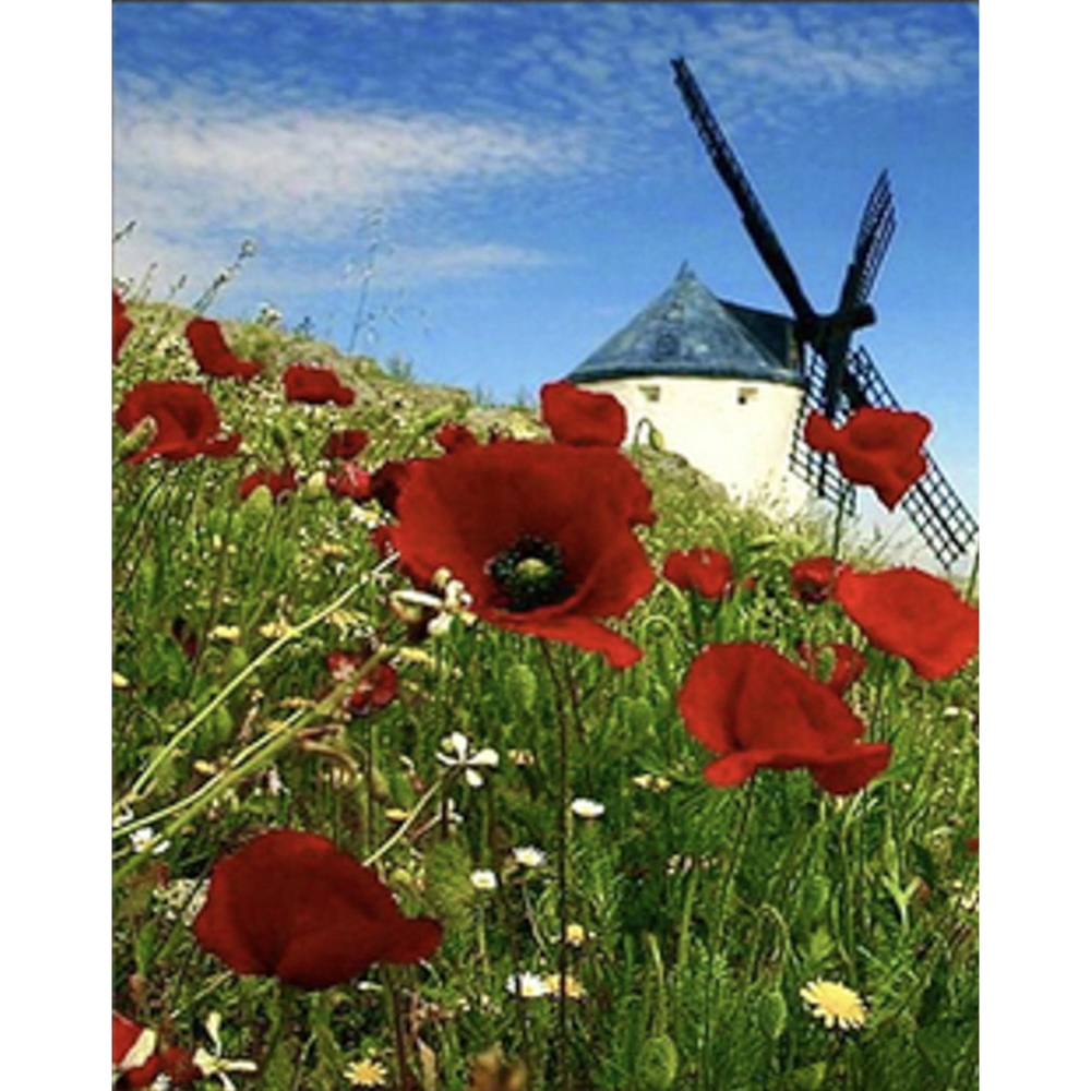 Фото, Відеоогляди алмазна мозаїка strateg преміум млин розміром 30х40 см (heg86061)