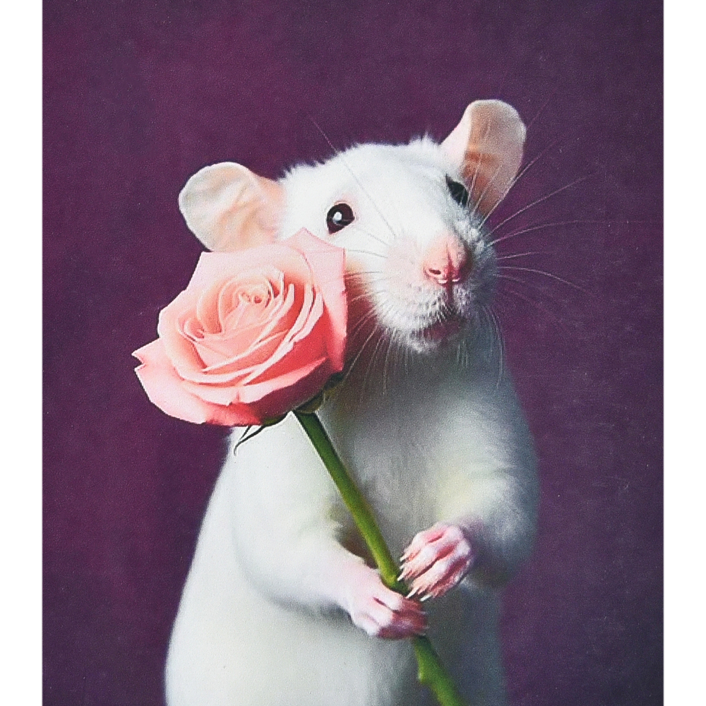 Фото, Видеообзоры алмазна мозаїка strateg преміум мишка з дарунком розміром 40х50 см (sk88223)