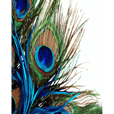 Картина за номерами Strateg ПРЕМІУМ Пір'я павича з лаком та з рівнем розміром 40х50 см (GS1361) Картина за номерами Strateg ПРЕМІУМ Пір'я павича з лаком та з рівнем розміром 40х50 см (GS1361)