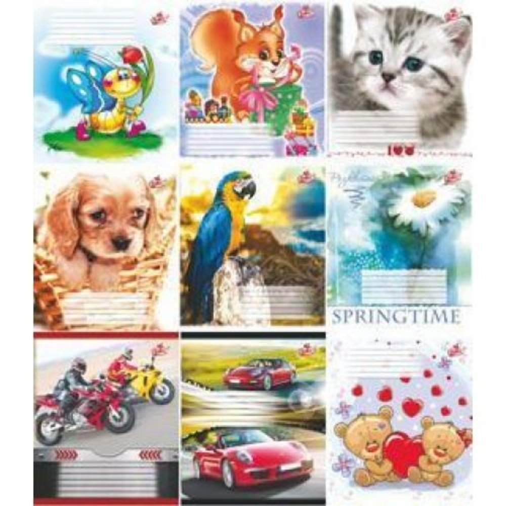 Фото, Видеообзоры 