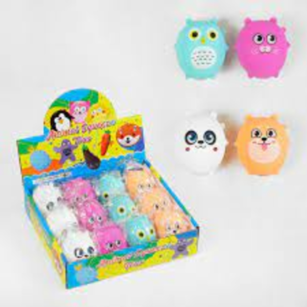 Фото, Відеоогляди 