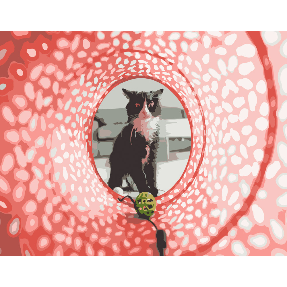 Фото, Видеообзоры картина за номерами strateg преміум котик у тунелі розміром 40х50 см (dy092)