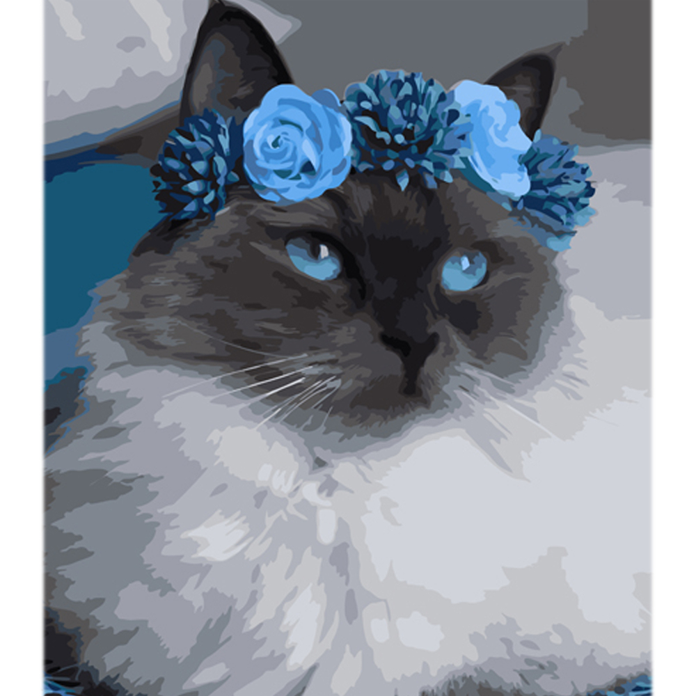 Фото, Відеоогляди картина за номерами strateg котик у блакитному віночку на кольоровому фоні розміром 40х50 см (mz002)