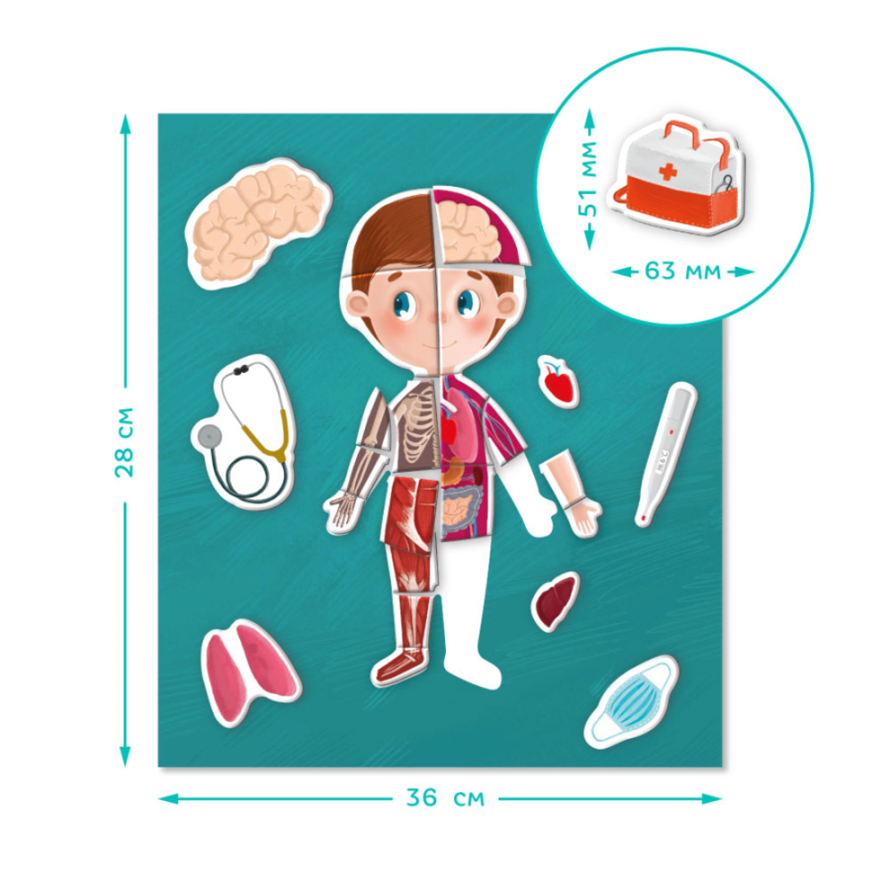 Фото, Видеообзоры розвиваюча гра dodo магнітне тіло