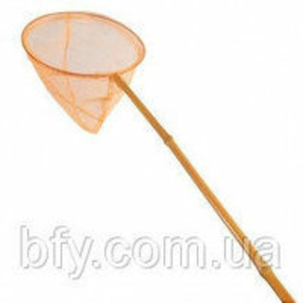 Фото, Видеообзоры 