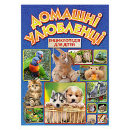 Фото, Відеоогляди 