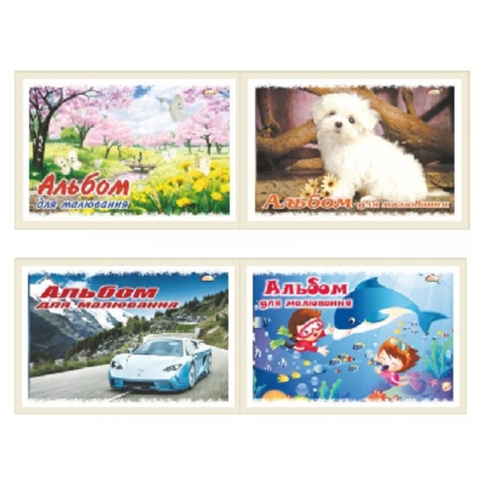 Фото, Видеообзоры 