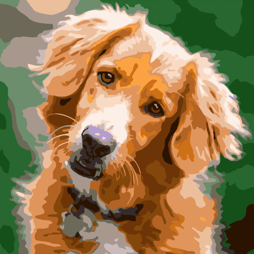 Фото, Видеообзоры картина за номерами strateg преміум грайливий пес розміром 40х40 см (sk010)