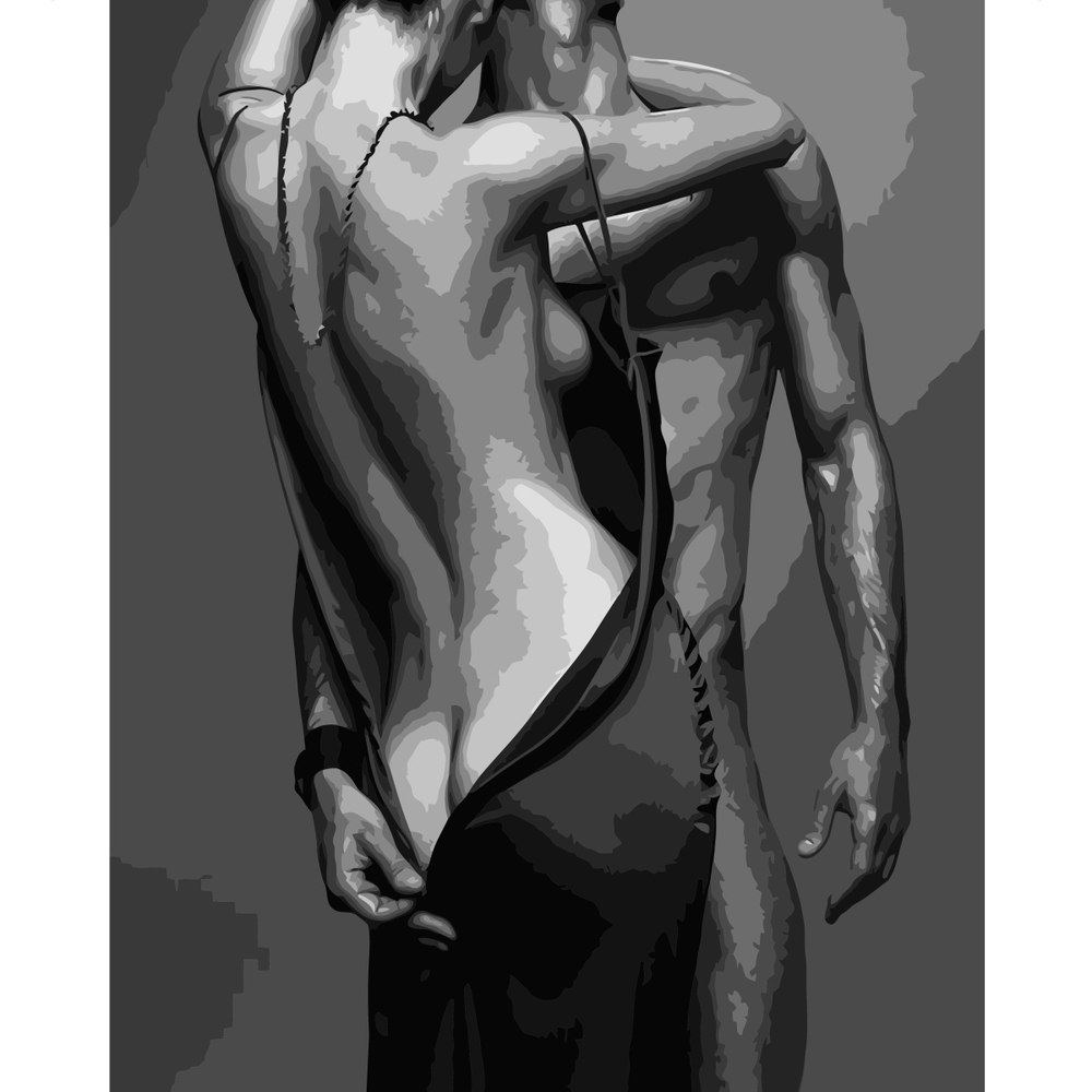 Фото, Відеоогляди картина за номерами strateg  обійми без підрамника розміром 40х50 см (br010)