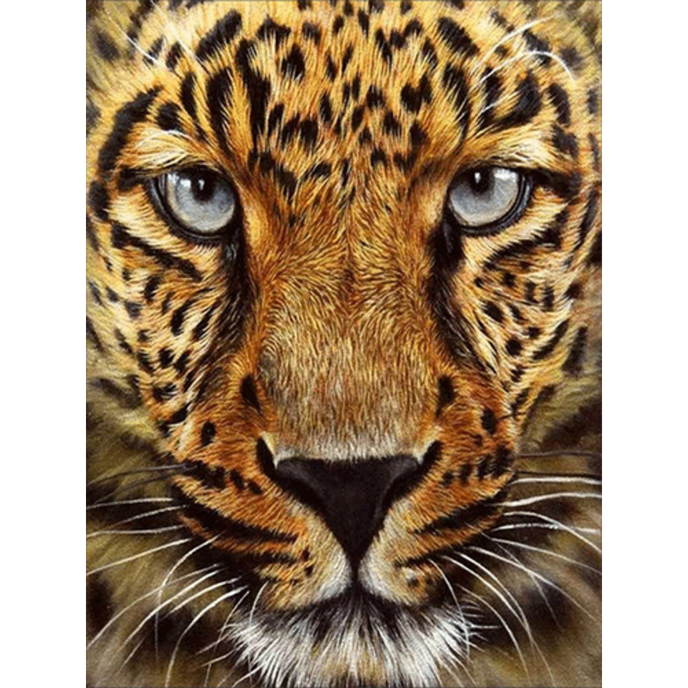 Фото, Видеообзоры алмазна мозаїка strateg преміум гепард без підрамника розміром 30х40 см  (jsdf79613)