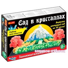 0262 Набір для дослідів Сад в кристалах великий 12138011