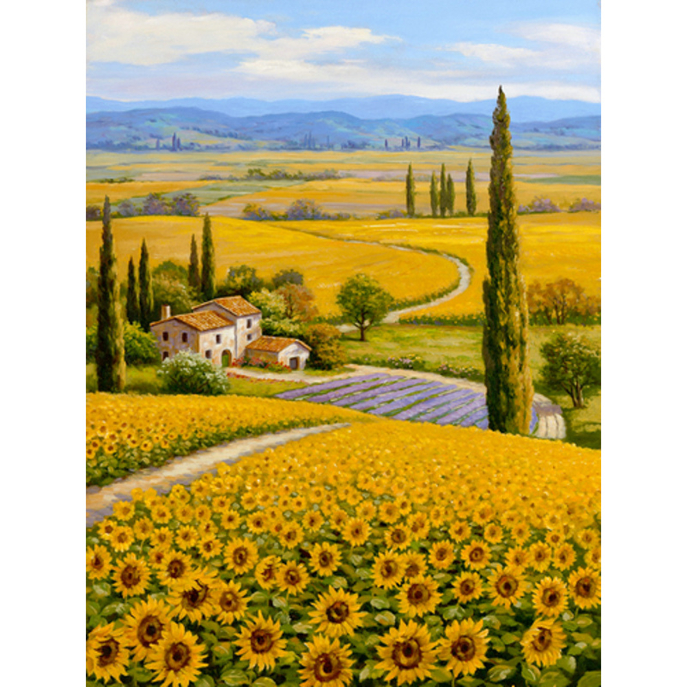 Фото, Відеоогляди алмазна мозаїка strateg преміум рідні поля без підрамника розміром 30х40 см  (jsdf70798)