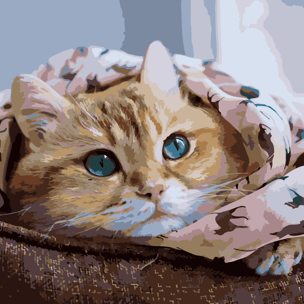 Фото, Видеообзоры картина за номерами strateg преміум руде кошеня розміром 40х40 см (sk040)